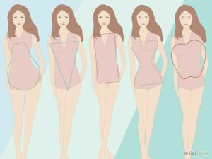 Body shape types