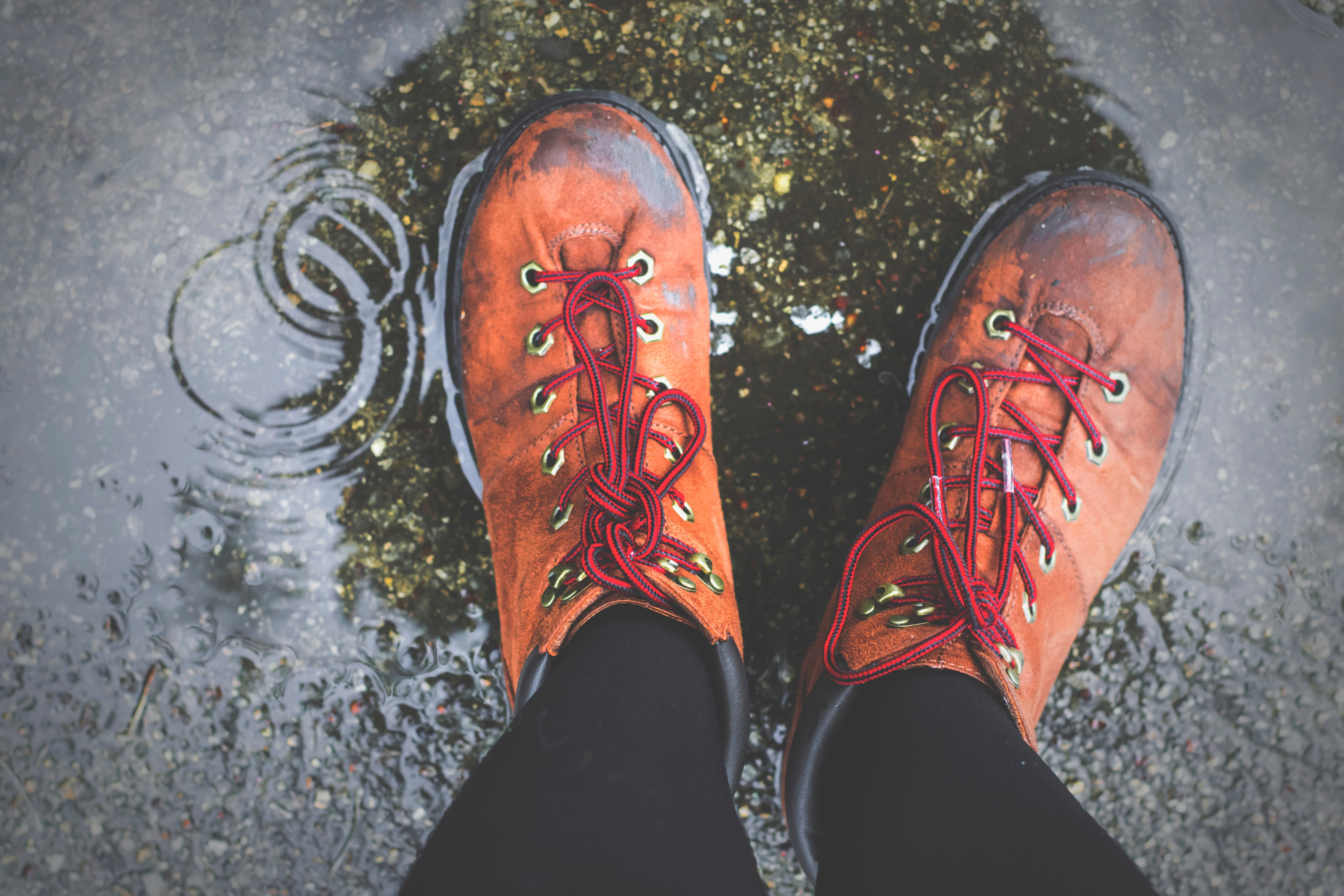 brittany-colette-565080-unsplash