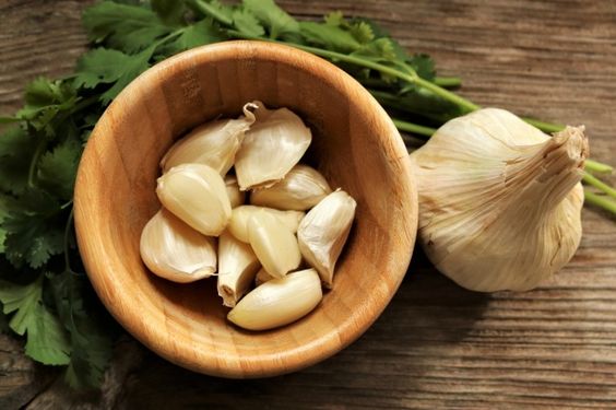 Garlic Clove