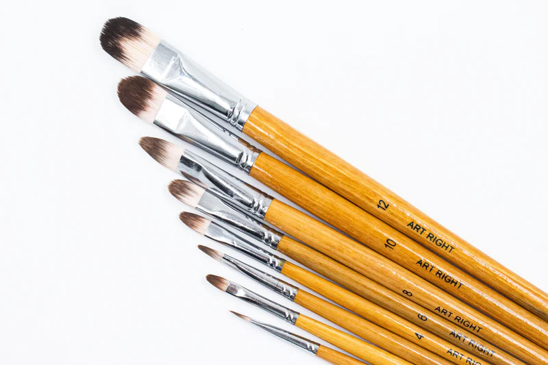 10. Filbert Brush - Types of Paintbrush