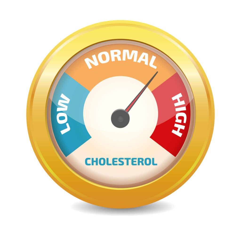 4. Lowers Cholesterol Levels