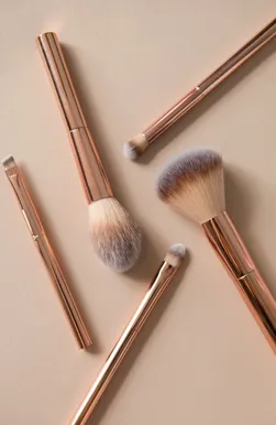 Makeup Brushes