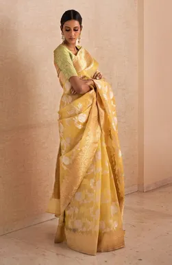 Organza Banarasi Saree