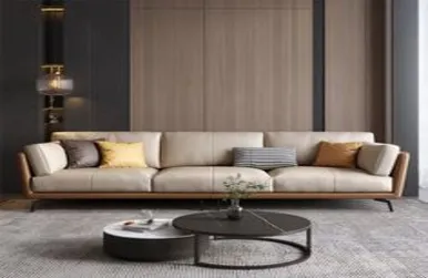 Sofa Set