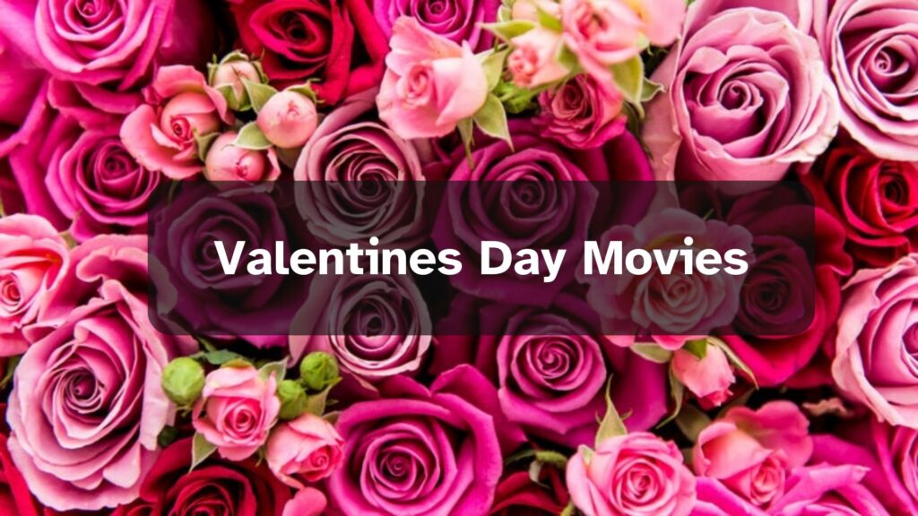 good movies to whach on valentines day